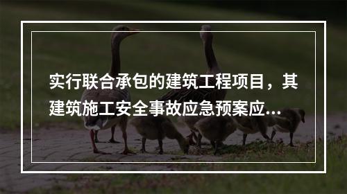 实行联合承包的建筑工程项目，其建筑施工安全事故应急预案应由承