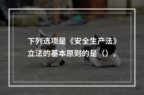 下列选项是《安全生产法》立法的基本原则的是（）。