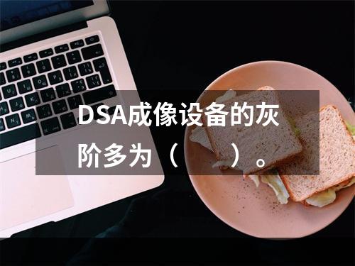 DSA成像设备的灰阶多为（　　）。