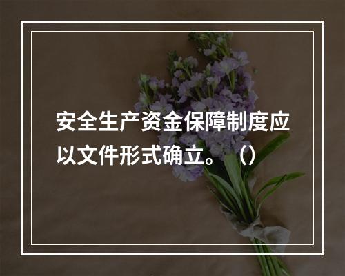 安全生产资金保障制度应以文件形式确立。（）