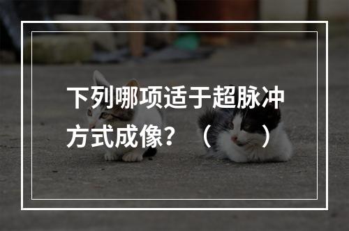 下列哪项适于超脉冲方式成像？（　　）