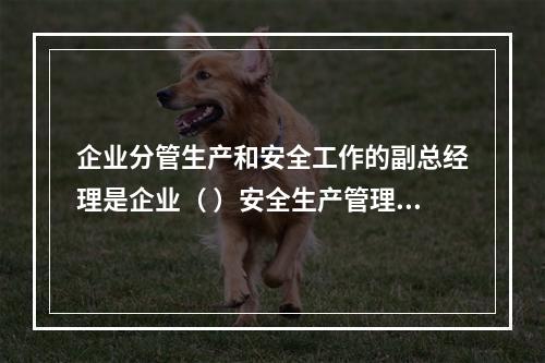 企业分管生产和安全工作的副总经理是企业（ ）安全生产管理的主