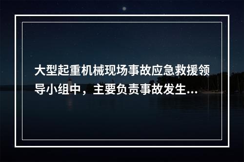 大型起重机械现场事故应急救援领导小组中，主要负责事故发生后疏