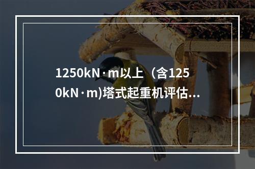 1250kN·m以上（含1250kN·m)塔式起重机评估合格