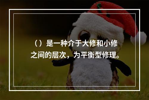 （ ）是一种介于大修和小修之间的层次，为平衡型修理。