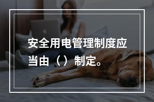 安全用电管理制度应当由（ ）制定。