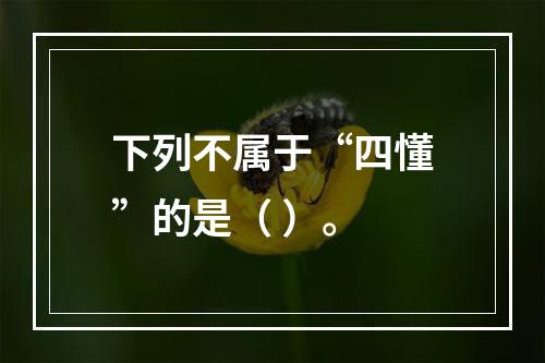 下列不属于“四懂”的是（ ）。