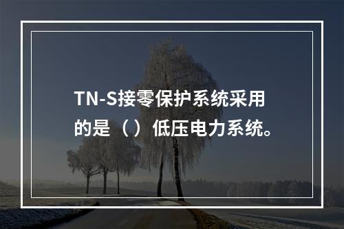 TN-S接零保护系统采用的是（ ）低压电力系统。