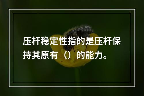 压杆稳定性指的是压杆保持其原有（）的能力。