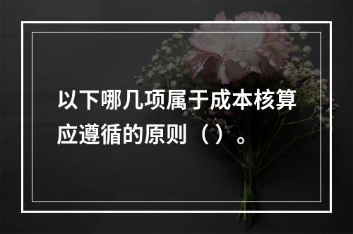 以下哪几项属于成本核算应遵循的原则（ ）。