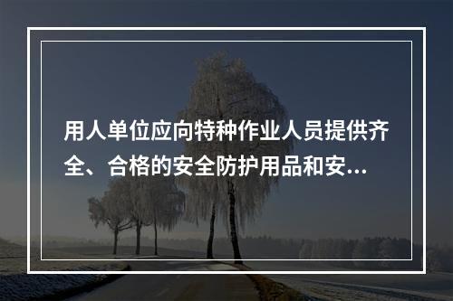 用人单位应向特种作业人员提供齐全、合格的安全防护用品和安全的