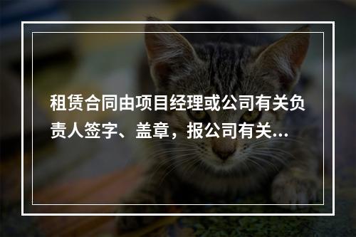 租赁合同由项目经理或公司有关负责人签字、盖章，报公司有关部门