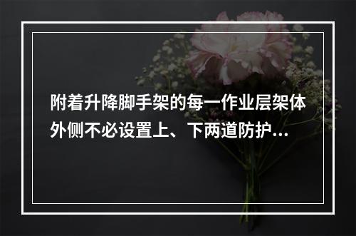 附着升降脚手架的每一作业层架体外侧不必设置上、下两道防护栏杆