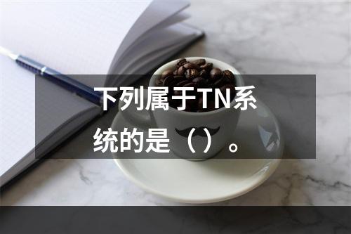 下列属于TN系统的是（ ）。