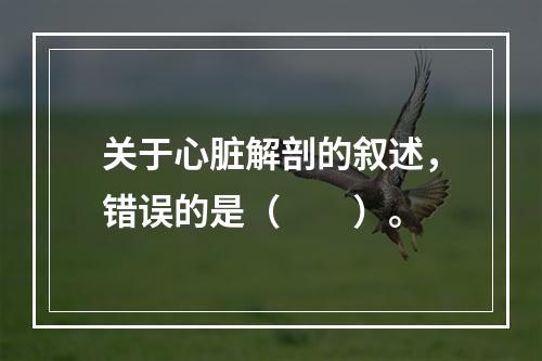 关于心脏解剖的叙述，错误的是（　　）。