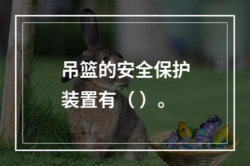 吊篮的安全保护装置有（ ）。