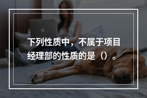 下列性质中，不属于项目经理部的性质的是（）。