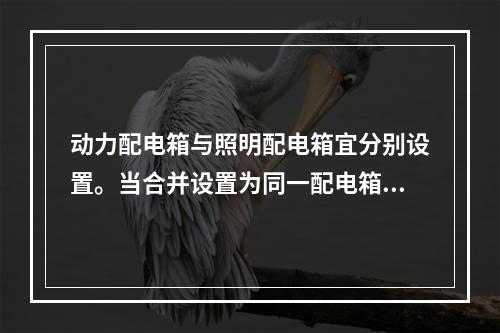 动力配电箱与照明配电箱宜分别设置。当合并设置为同一配电箱时，