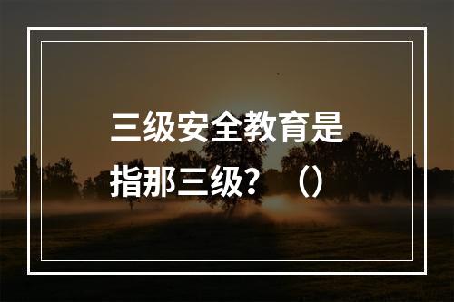 三级安全教育是指那三级？（）