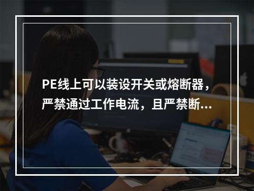 PE线上可以装设开关或熔断器，严禁通过工作电流，且严禁断线。