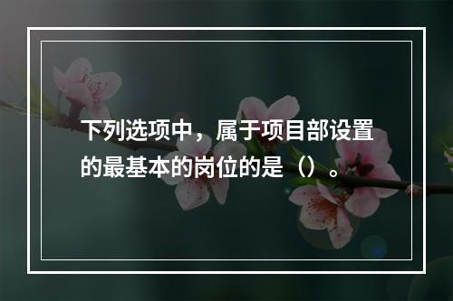 下列选项中，属于项目部设置的最基本的岗位的是（）。