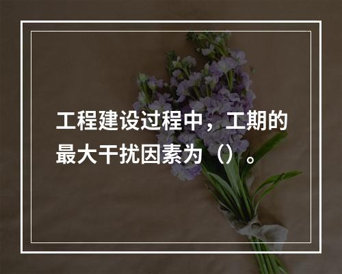 工程建设过程中，工期的最大干扰因素为（）。