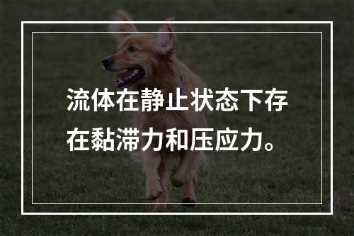 流体在静止状态下存在黏滞力和压应力。