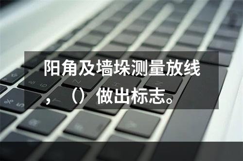 阳角及墙垛测量放线，（）做出标志。