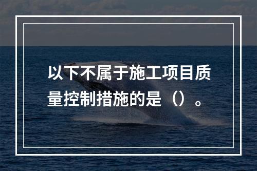 以下不属于施工项目质量控制措施的是（）。