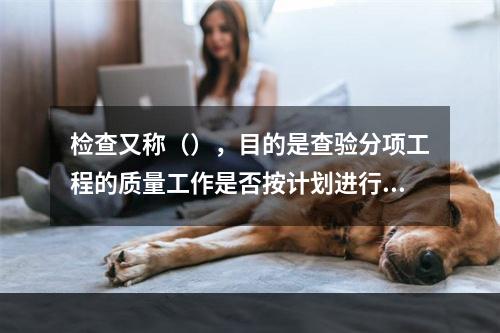 检查又称（），目的是查验分项工程的质量工作是否按计划进行。