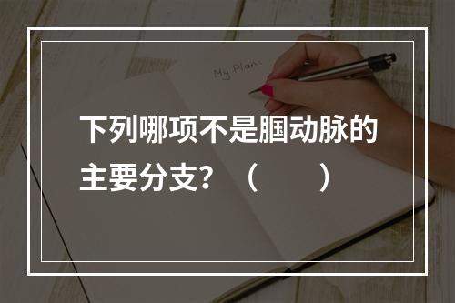 下列哪项不是腘动脉的主要分支？（　　）