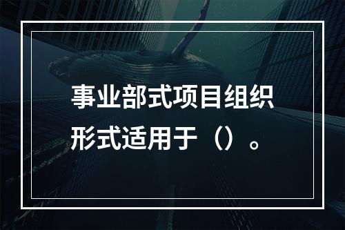 事业部式项目组织形式适用于（）。