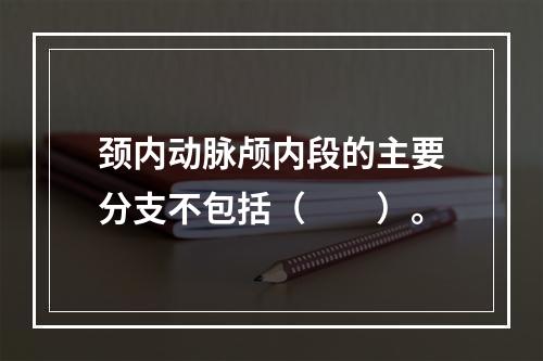 颈内动脉颅内段的主要分支不包括（　　）。