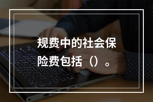 规费中的社会保险费包括（）。