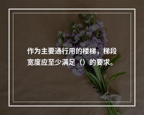 作为主要通行用的楼梯，梯段宽度应至少满足（）的要求。