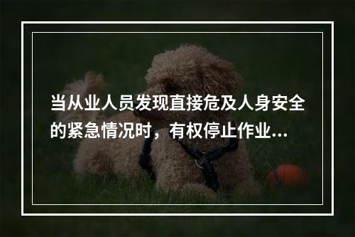 当从业人员发现直接危及人身安全的紧急情况时，有权停止作业或在