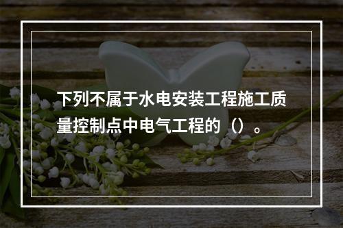 下列不属于水电安装工程施工质量控制点中电气工程的（）。