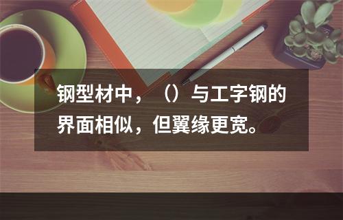 钢型材中，（）与工字钢的界面相似，但翼缘更宽。