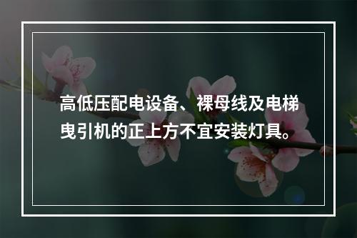 高低压配电设备、裸母线及电梯曳引机的正上方不宜安装灯具。