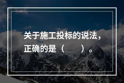 关于施工投标的说法，正确的是（　　）。