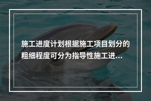 施工进度计划根据施工项目划分的粗细程度可分为指导性施工进度计