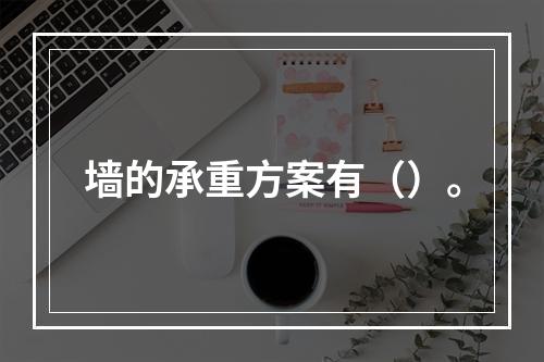 墙的承重方案有（）。