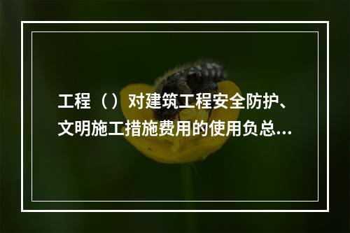 工程（ ）对建筑工程安全防护、文明施工措施费用的使用负总责。