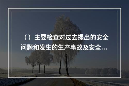 （ ）主要检查对过去提出的安全问题和发生的生产事故及安全隐患