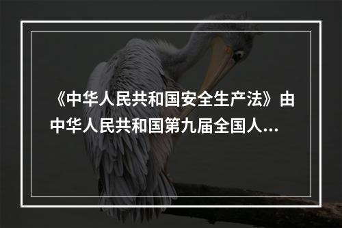 《中华人民共和国安全生产法》由中华人民共和国第九届全国人民代