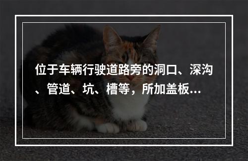 位于车辆行驶道路旁的洞口、深沟、管道、坑、槽等，所加盖板应能