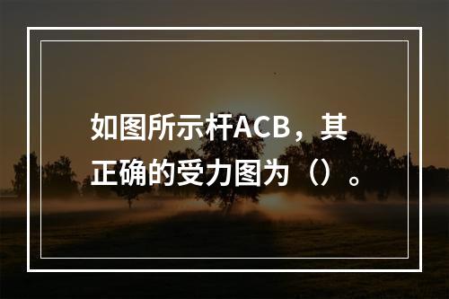 如图所示杆ACB，其正确的受力图为（）。