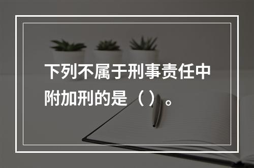 下列不属于刑事责任中附加刑的是（ ）。