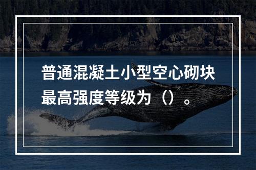 普通混凝土小型空心砌块最高强度等级为（）。