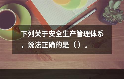 下列关于安全生产管理体系，说法正确的是（ ）。